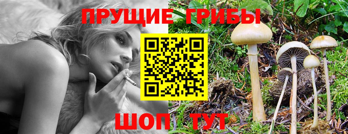 где найти   Вход с VPN  Орёл  Псилоцибиновые грибы Psilocybe 