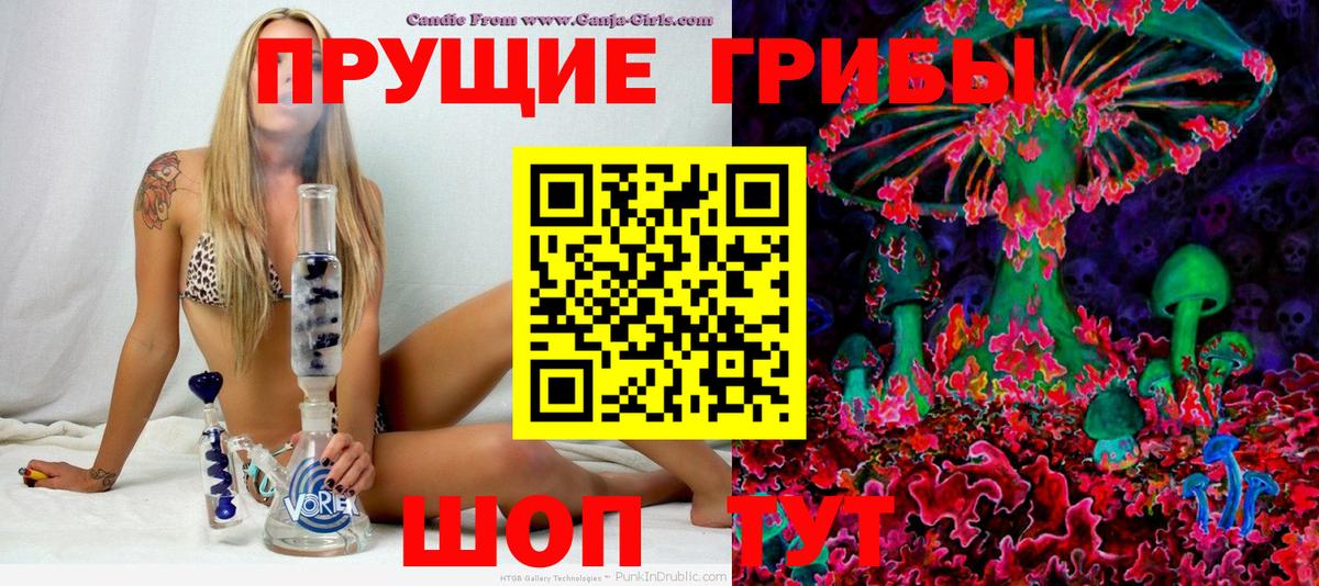 Псилоцибиновые грибы Cubensis Орёл